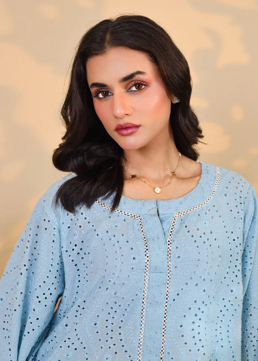 Powder Blue Embroidered Set