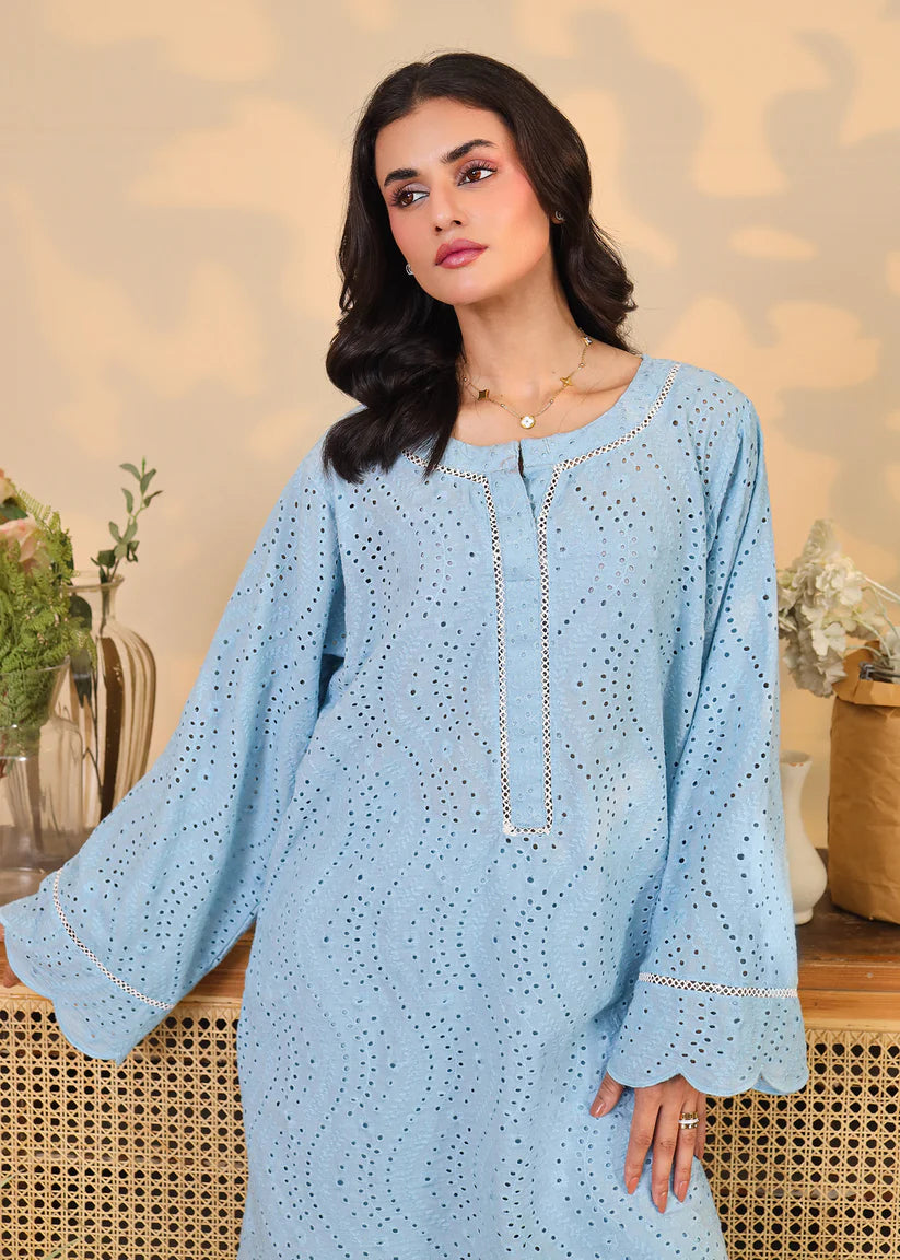 Powder Blue Embroidered Set