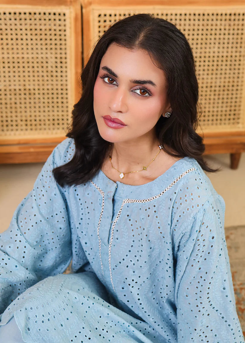 Powder Blue Embroidered Set