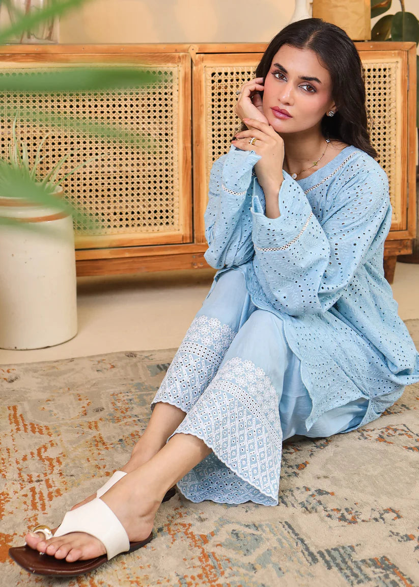 Powder Blue Embroidered Set