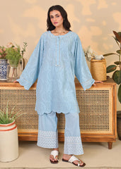 Powder Blue Embroidered Set