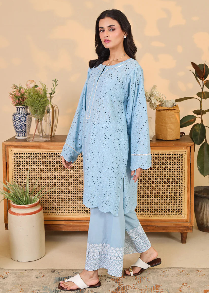 Powder Blue Embroidered Set