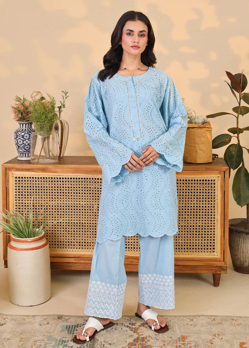 Powder Blue Embroidered Set