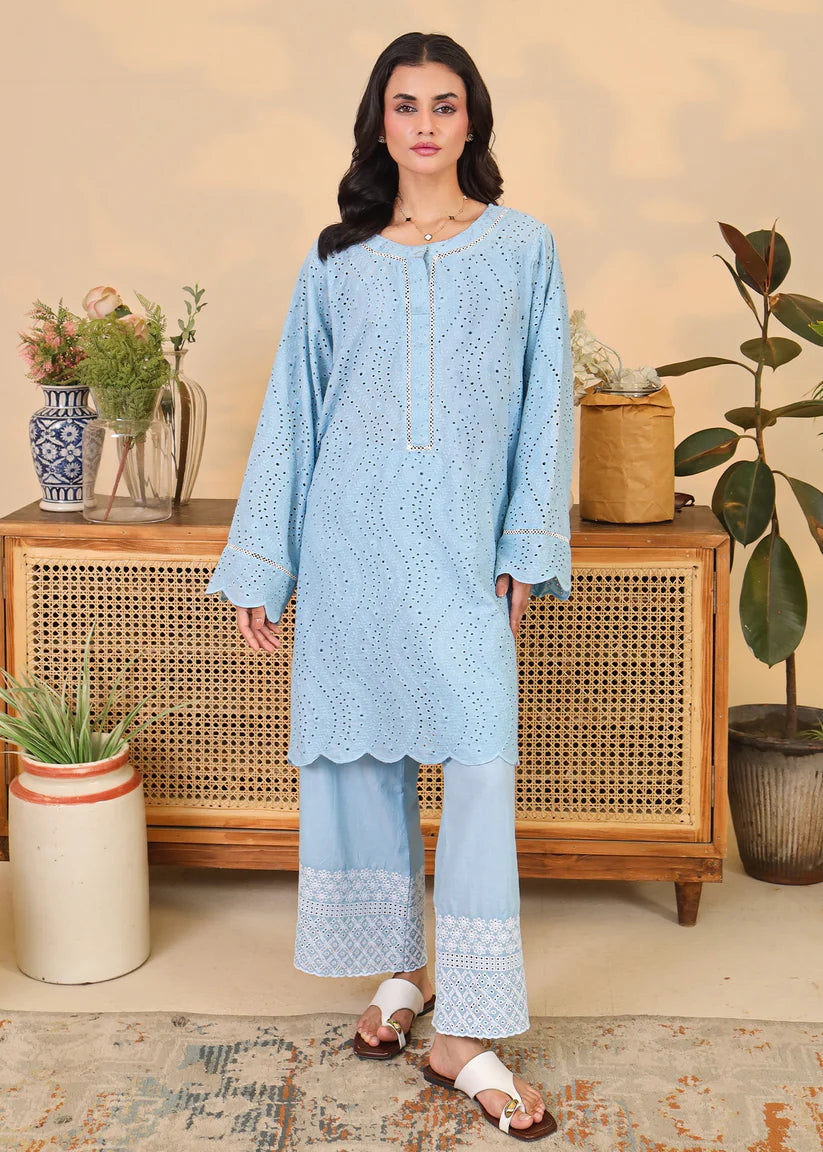 Powder Blue Embroidered Set