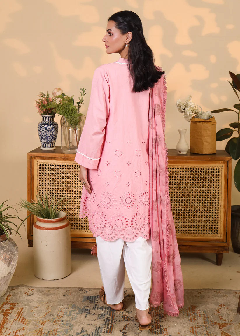 Blush Pink Eyelet 3PC