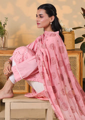 Blush Pink Eyelet 3PC