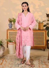 Blush Pink Eyelet 3PC